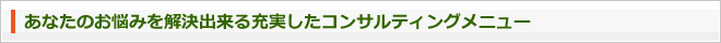 あなたのお悩みを解決出来る充実したコンサルティングメニュー